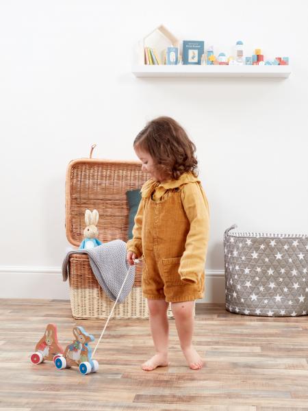 Peter Rabbit Pull along