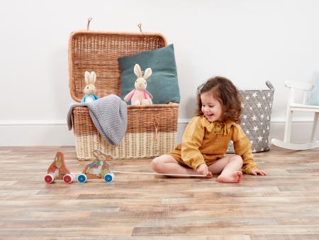 Peter Rabbit Pull along
